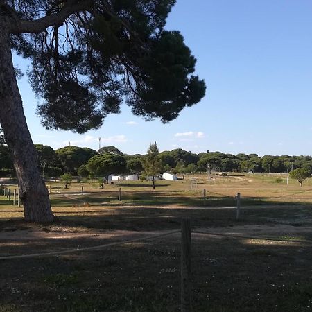 Beach Falesia Albufeira Ngoại thất bức ảnh