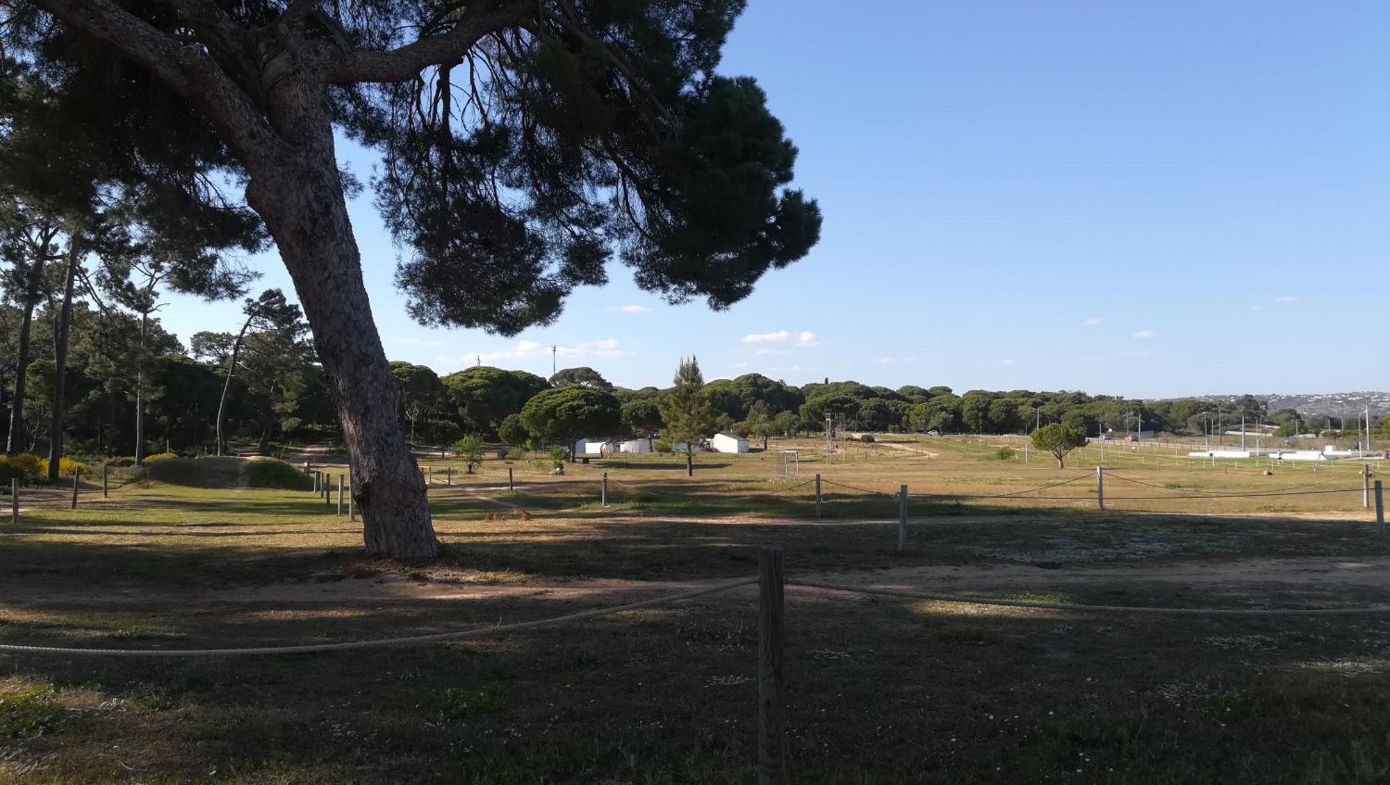 Beach Falesia Albufeira Ngoại thất bức ảnh